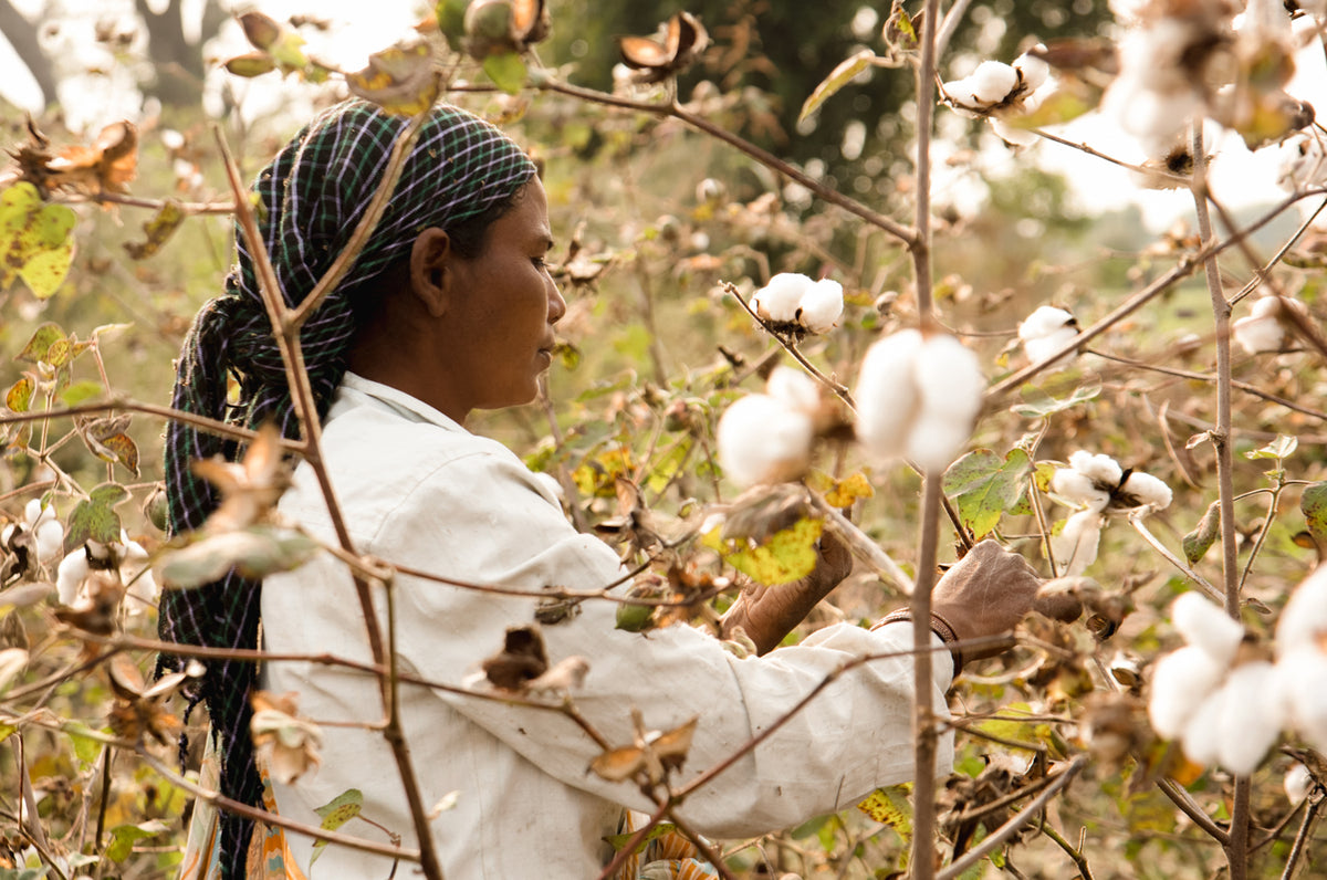 Why is organic cotton better conventional cotton? – The Slow Label